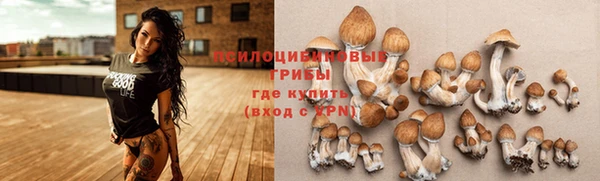apvp Волосово