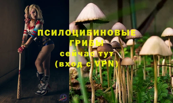 твердый Волоколамск