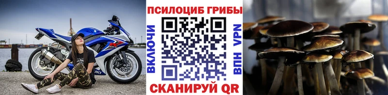 Галлюциногенные грибы MAGIC MUSHROOMS  Купить где  Белая Холуница 