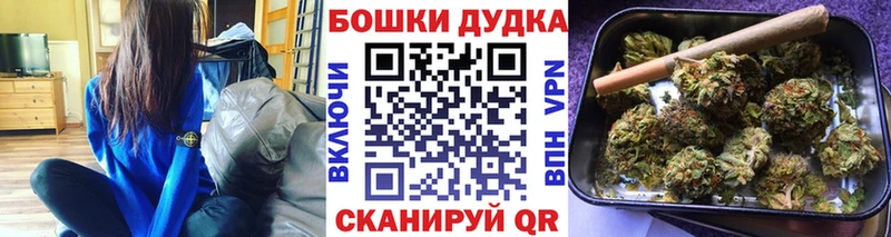 Купить где  Белая Холуница  МАРИХУАНА семена 